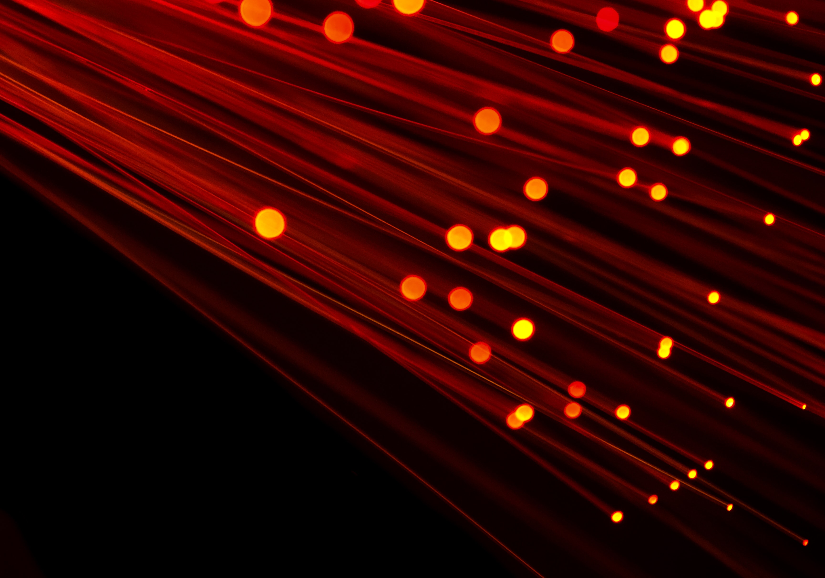 Glasfaserlichtbild mit rotem Farbton auf schwarzem Hintergrund. Ideales Bild zur Darstellung von Breitband, Technologie, Geschwindigkeit und Kabelinfrastruktur.